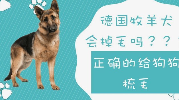 马卡：姆巴佩仍在单独训练，将在明日接受核磁共振检查