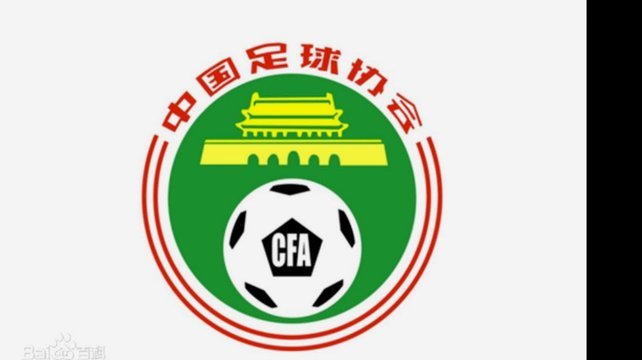 中国足协严查申思祁宏违规参与青训事件