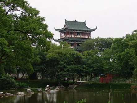 VAR如何影响津门虎与海港的判罚尺度？