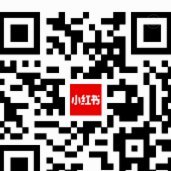 [Mock] 收到 prompt: 